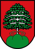 Wappen-Datei: by_lkr-kelheim_mainburg.jpg