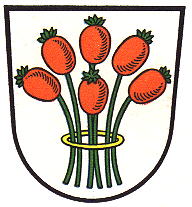 Wappen-Datei: by_lkr-kitzingen_markt-einersheim.jpg