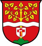 Wappen-Datei: by_lkr-traunstein_ruhpolding.jpg