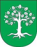 Wappen-Datei: nrw_krs-borken_bocholt.jpg