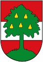 Wappen-Datei: oe-bez-dornbirn_dornbirn.jpg