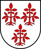 Wappen-Datei: sx_lkr-meissen_nossen.jpg
