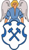 Wappen-Datei: sx_vogtlandkreis_falkenstein.jpg