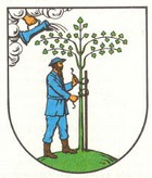 Wappen-Datei: sx_vogtlandkreis_netzschkau.jpg